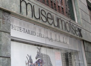 Museum_of_Sex,_New_York_City,_USA vía Wikipedia